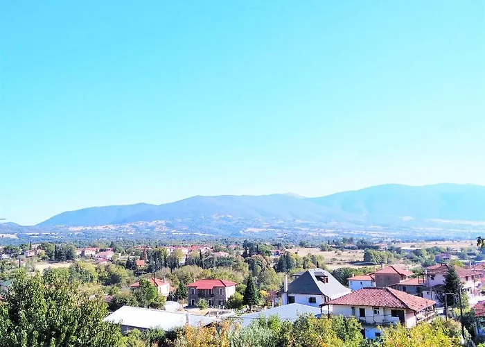Archontiko - Stone With Fireplace And Mountain View Βίλα Kastellia
